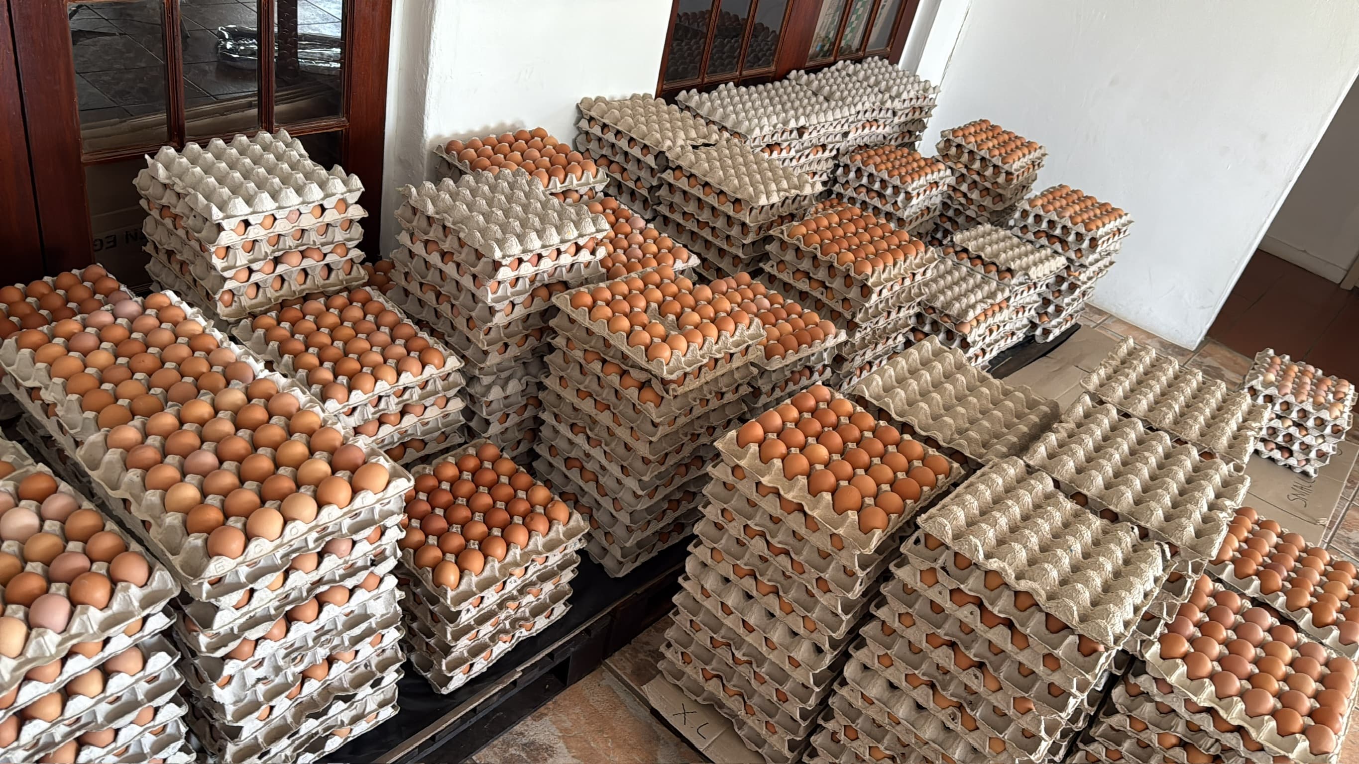 Farm fresh eggs on hay