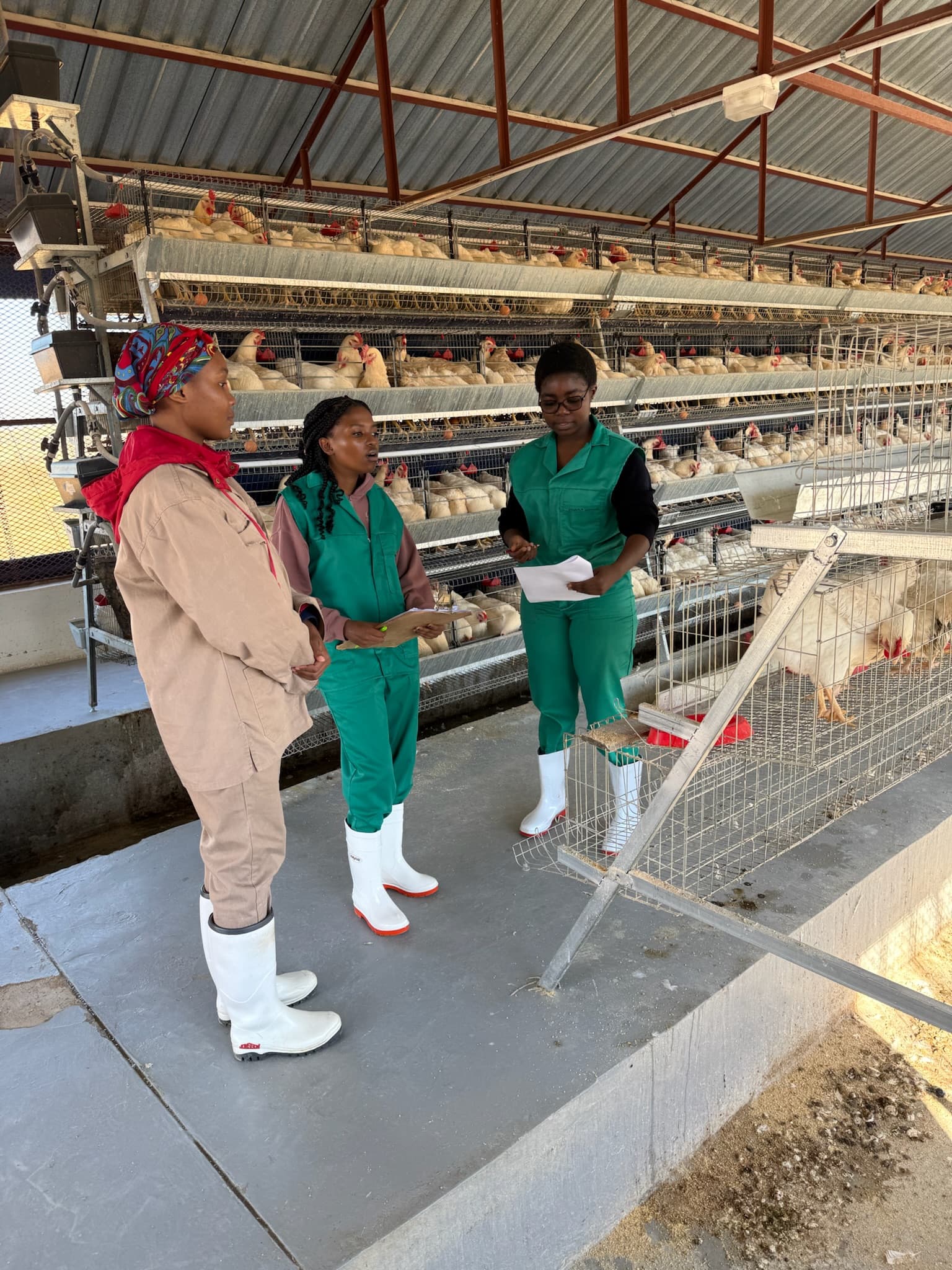 Farmer training workshop